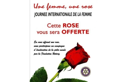 Une femme, une rose pour la journée du 8 mars 2023